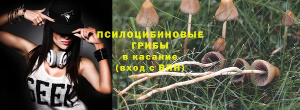ALPHA PVP Семёнов
