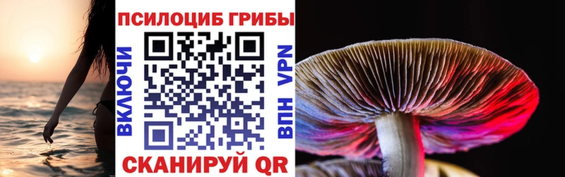 Галлюциногенные грибы ЛСД  где можно купить наркотик  Шимановск 